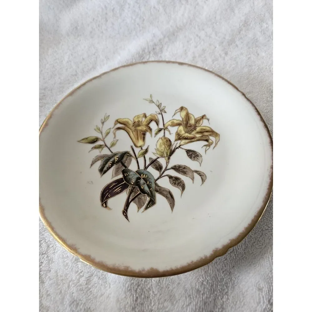 2 Antique Limoges Plates 8